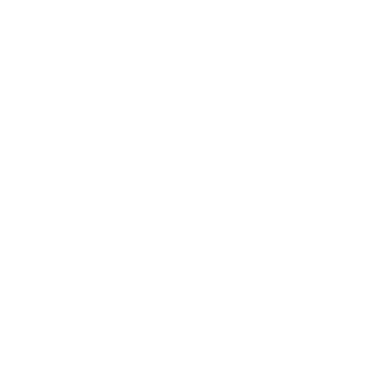 A white circle.